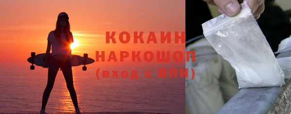 бошки Бронницы
