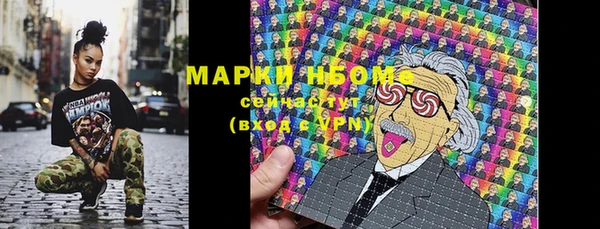 бошки Бронницы