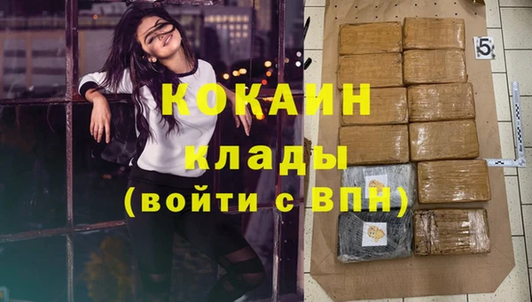 бошки Бронницы