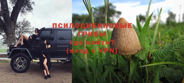 бошки Бронницы