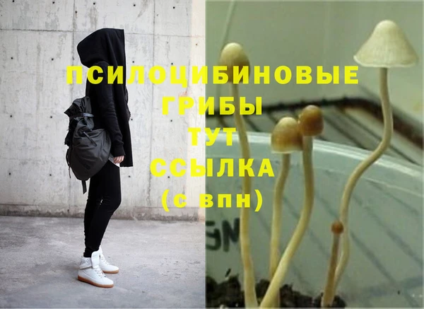 прущий лед Бугульма