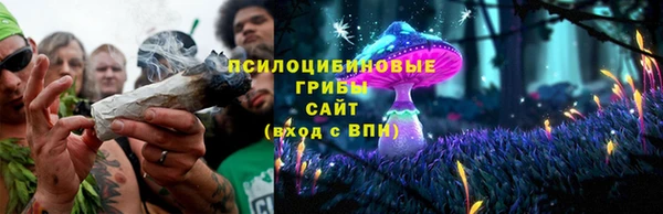бошки Бронницы