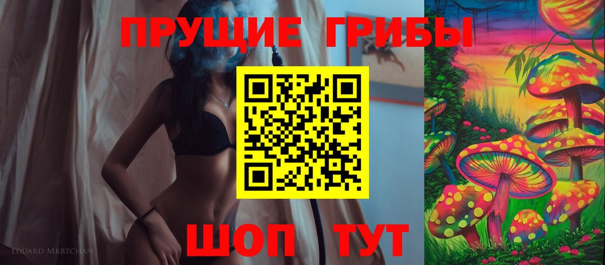 Выборг  Псилоцибиновые грибы мухоморы  Вход с VPN  Псилоцибиновые грибы Psilocybine cubensis 